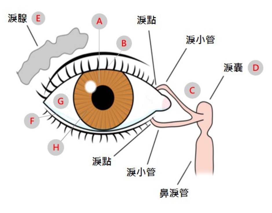 流眼水 Tearing